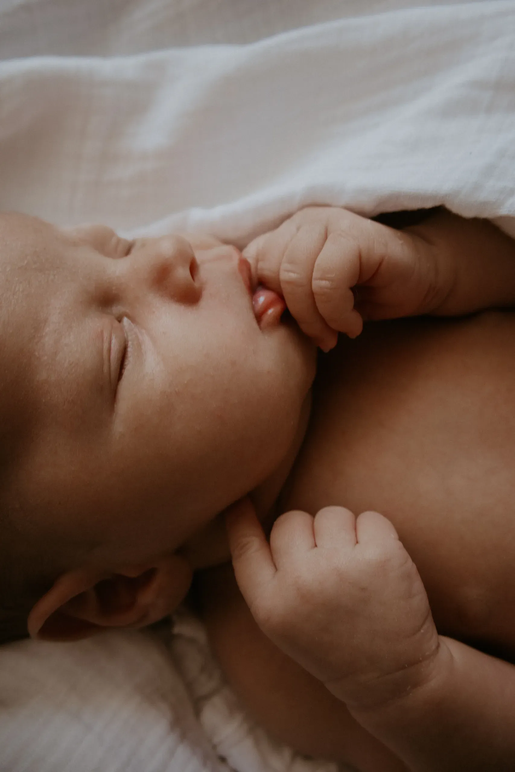 Family photo session — Love Clic & See
