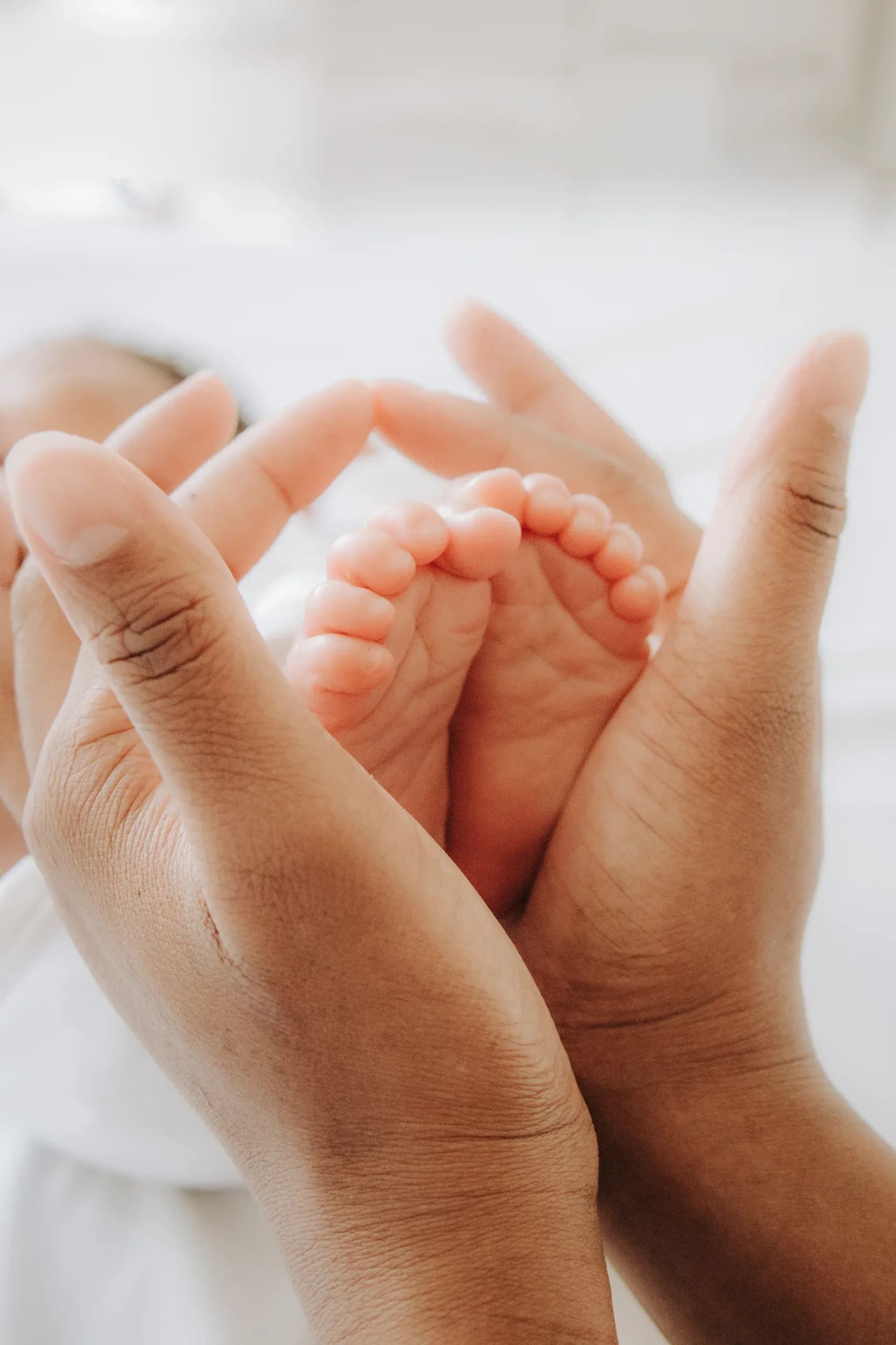 Family photo session — Love Clic & See