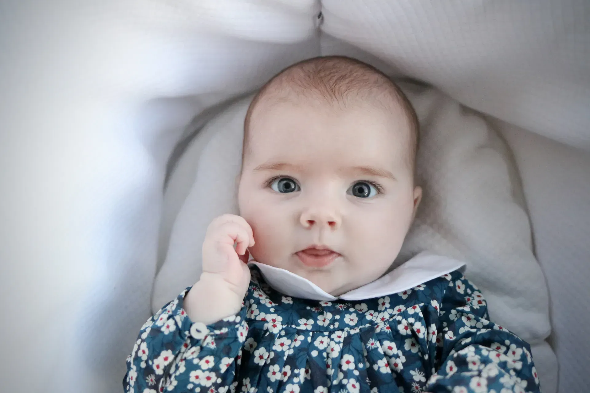 Family photo session — Love Clic & See